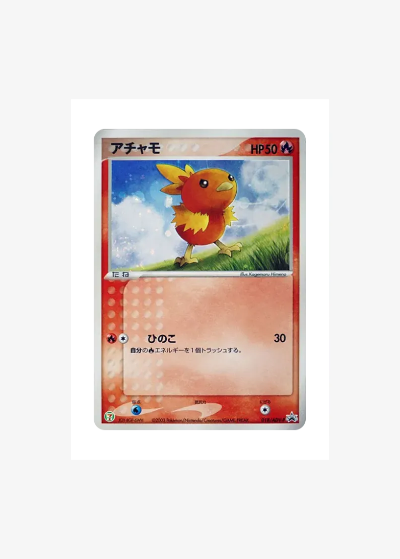Torchic P