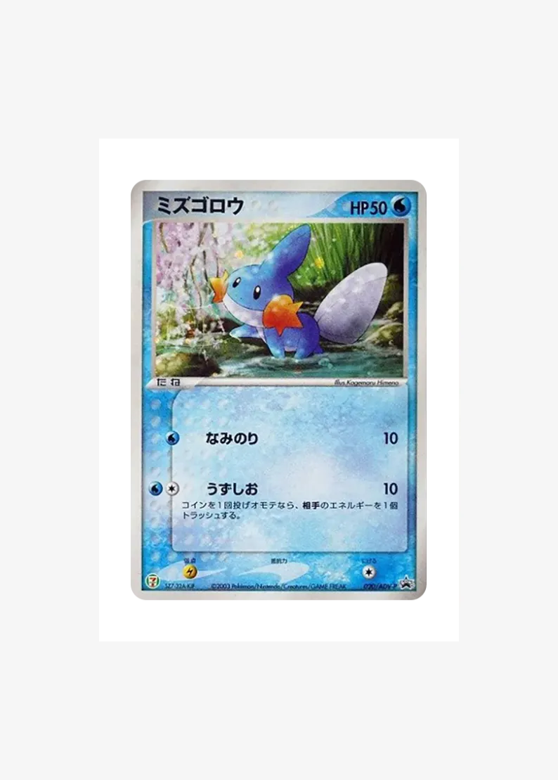 Mudkip P