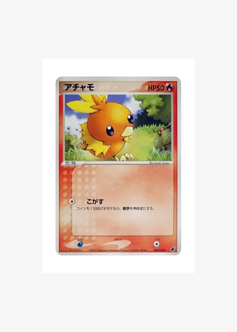 Torchic