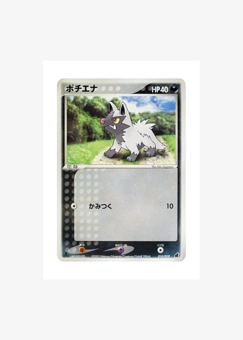 Poochyena :1ED