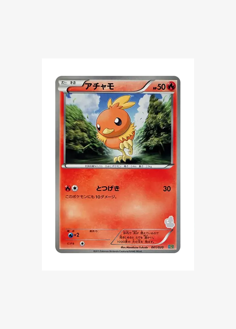 Torchic