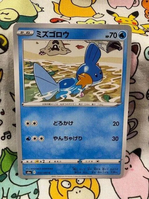 물짱이