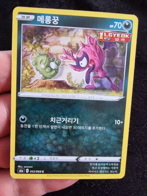 메롱꿍
