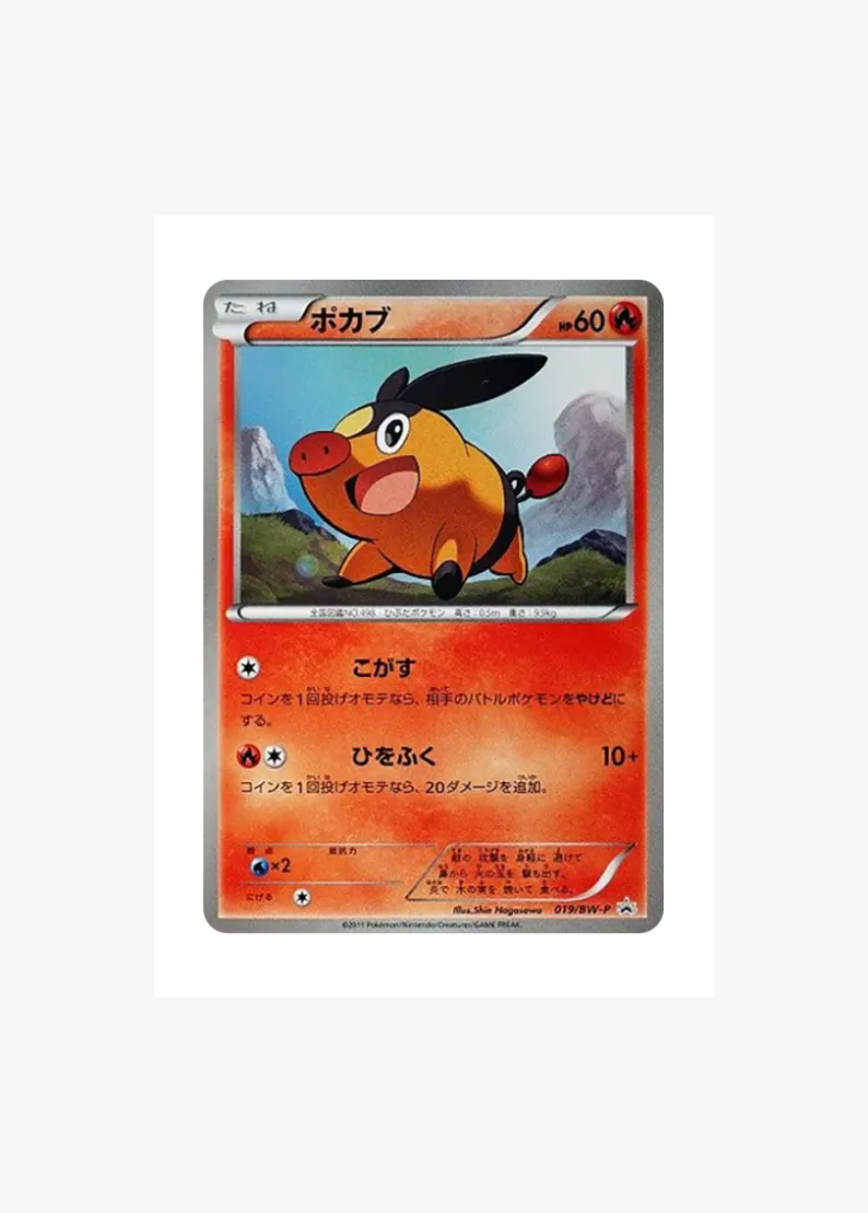 Tepig P