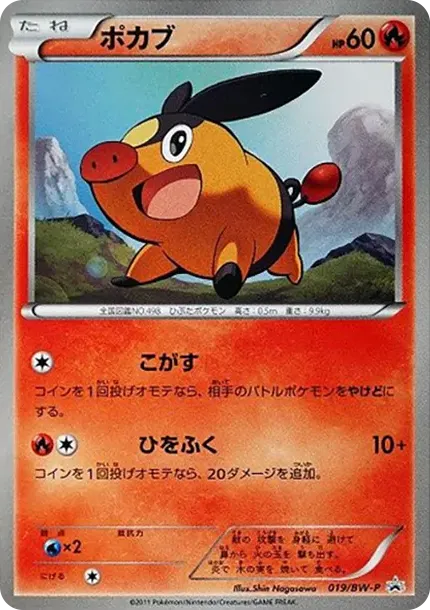 Tepig P