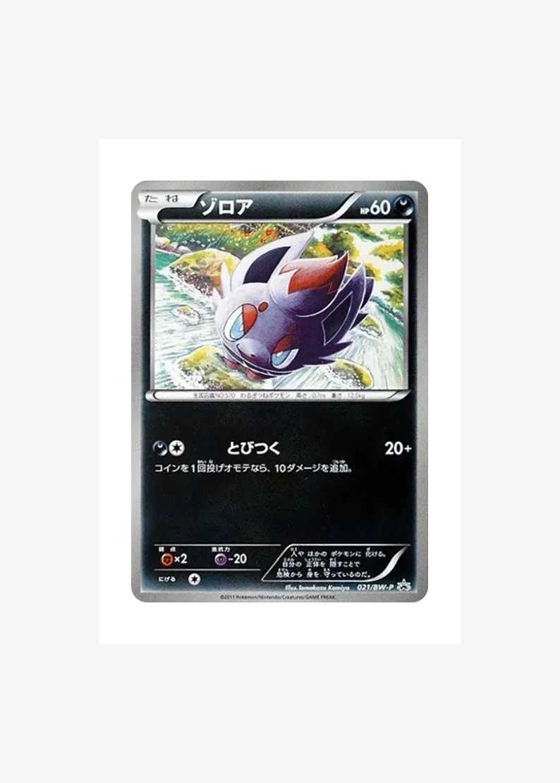 Zorua P