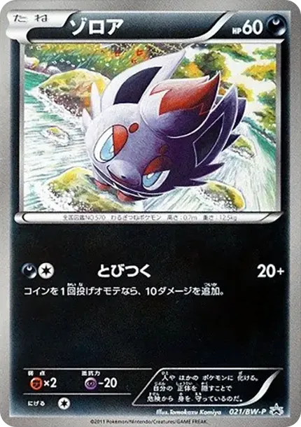 Zorua P