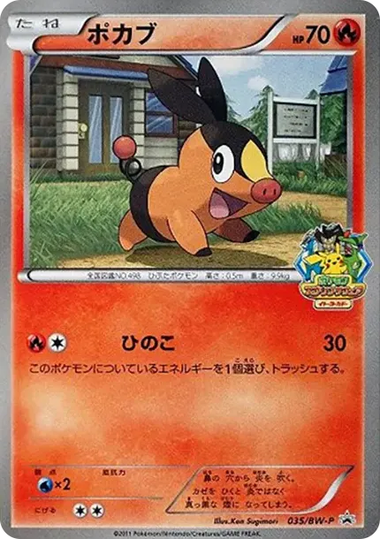Tepig P