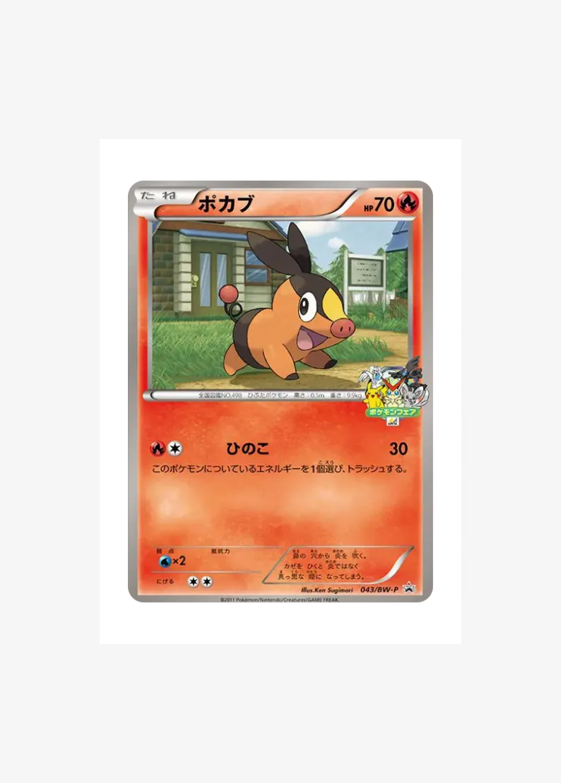 Tepig P