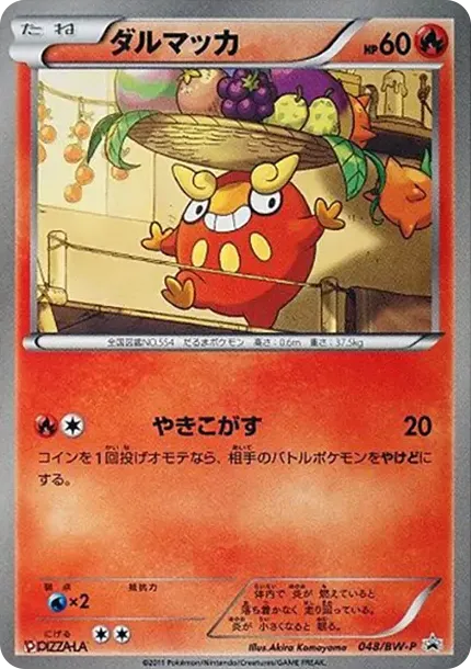 Darumaka P