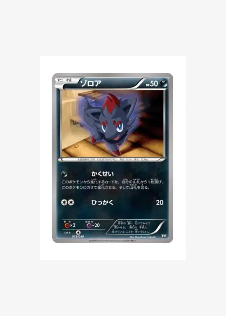 ゾロア