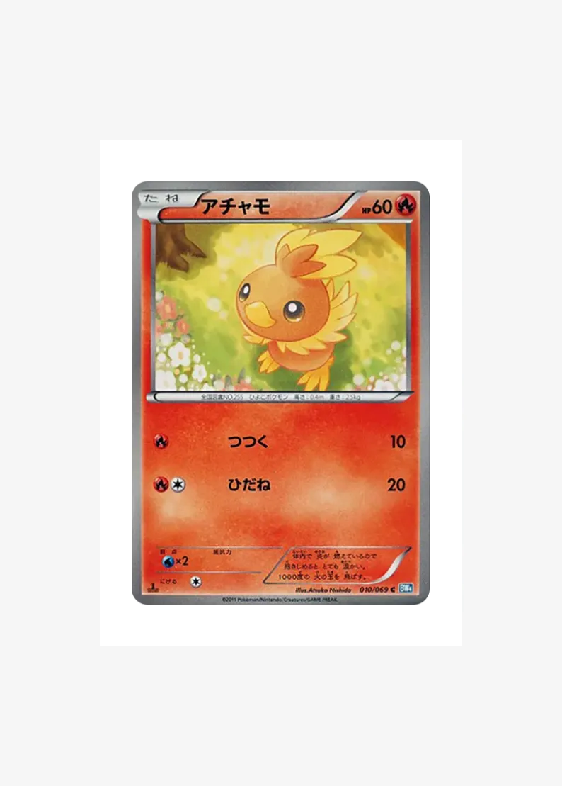 Torchic
