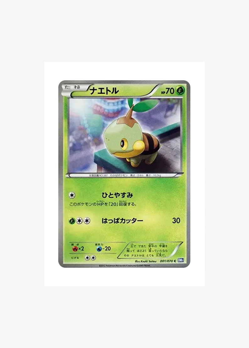 Turtwig C