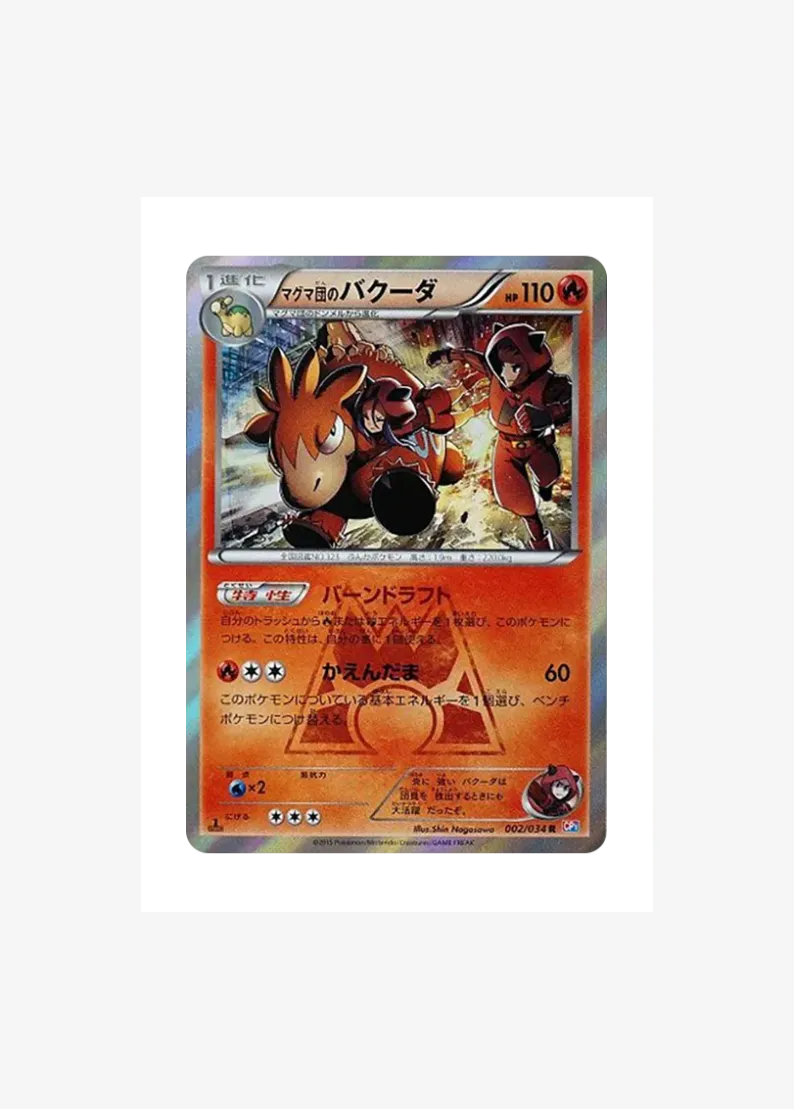 Team Magma'sCamerupt R :1ED