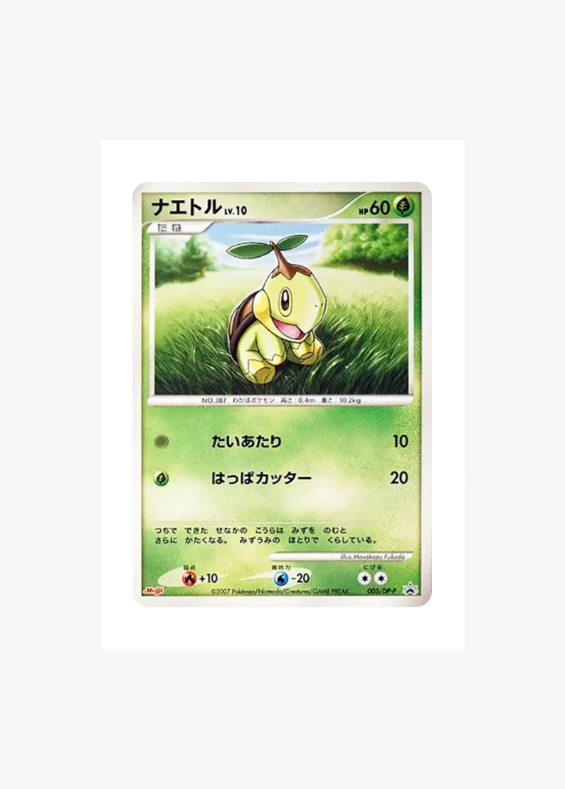 Turtwig LV.10