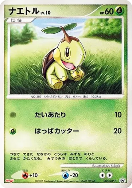 Turtwig LV.10