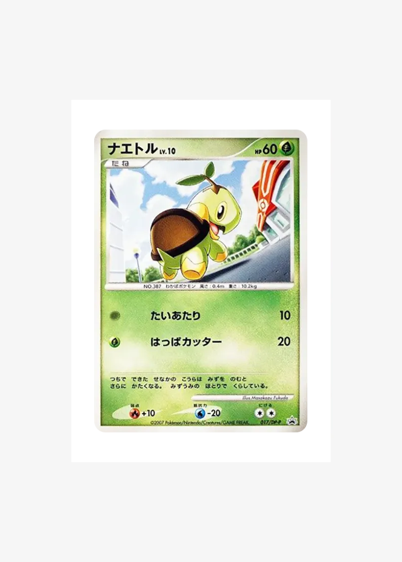 Turtwig LV.10