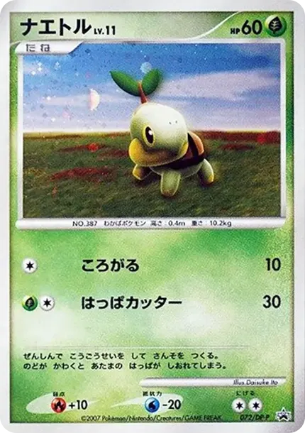 Turtwig LV.11 :Holo