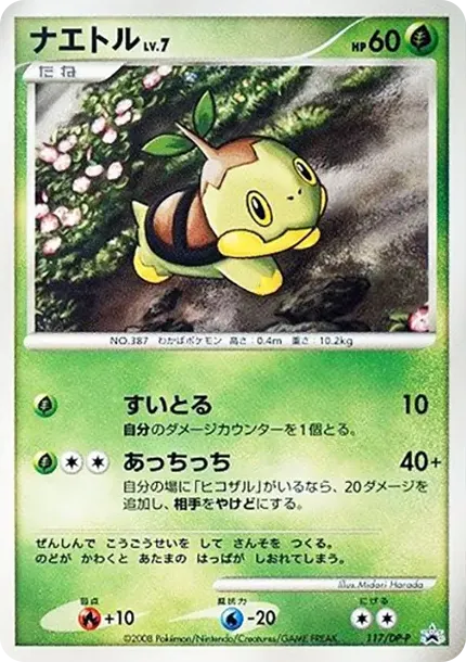 Turtwig LV.7