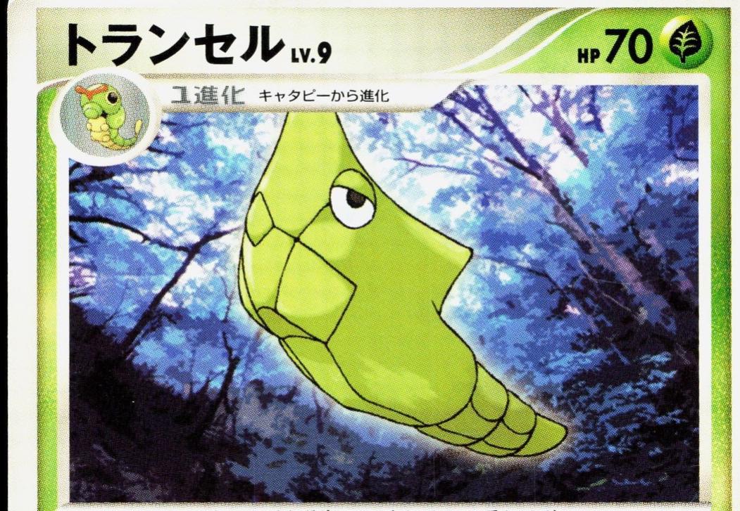 Metapod [1st Edition]