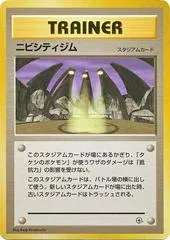 Pewter City Gym [Nivi City Gym]