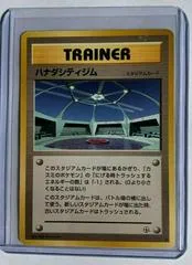 Cerulean City Gym