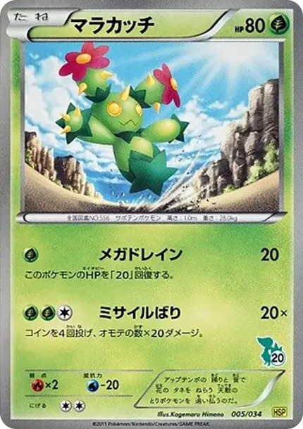 Maractus