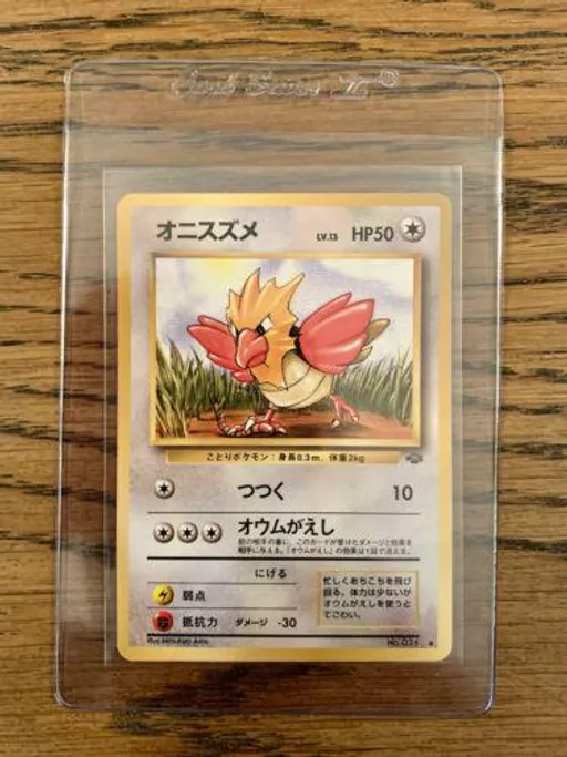 Spearow