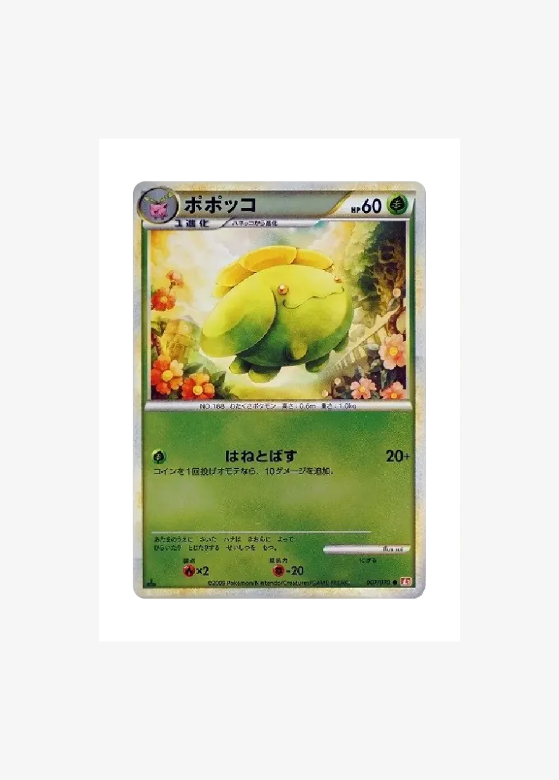 ポポッコ ●