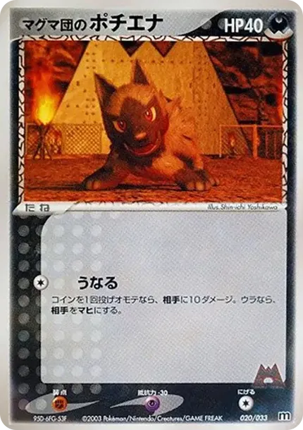 Team Magma's Poochyena
