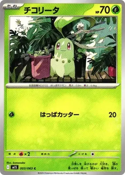 Chikorita C