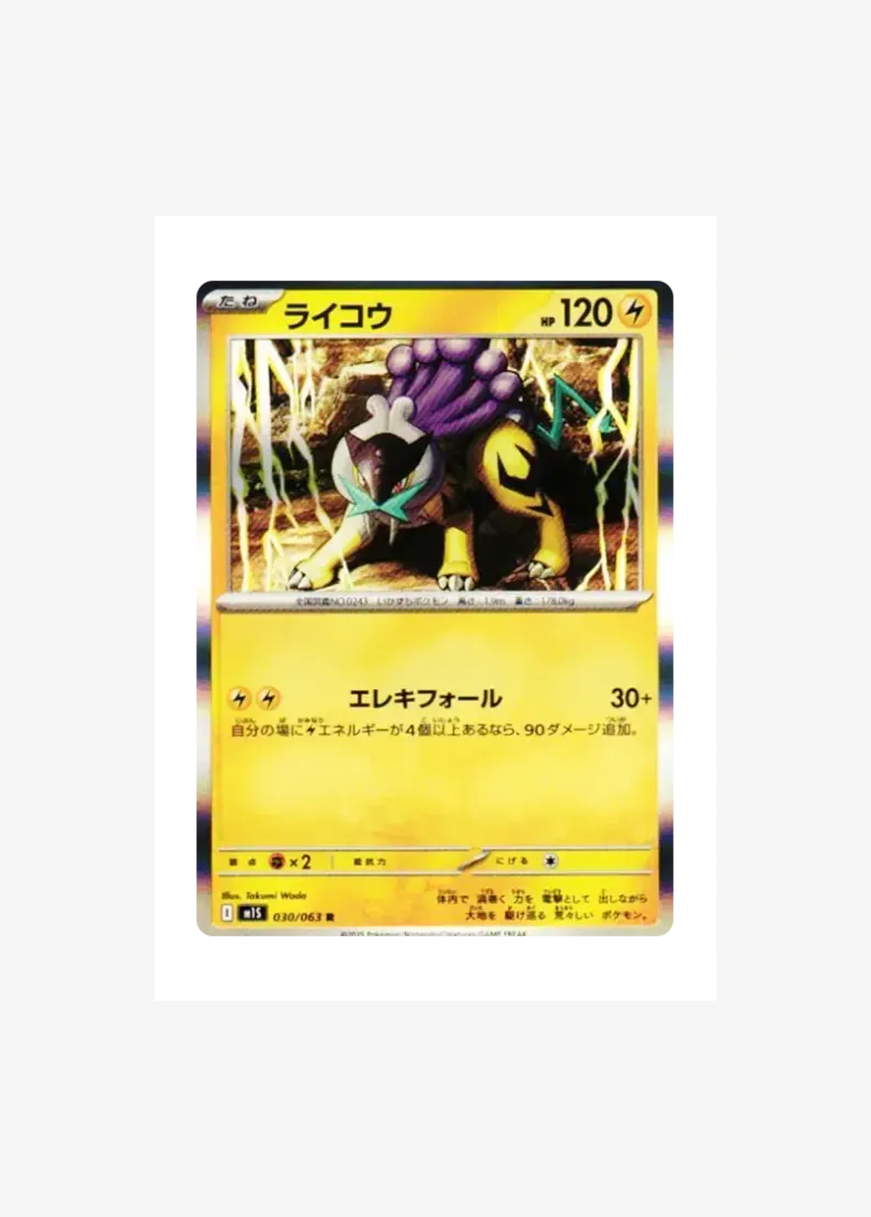 Raikou R