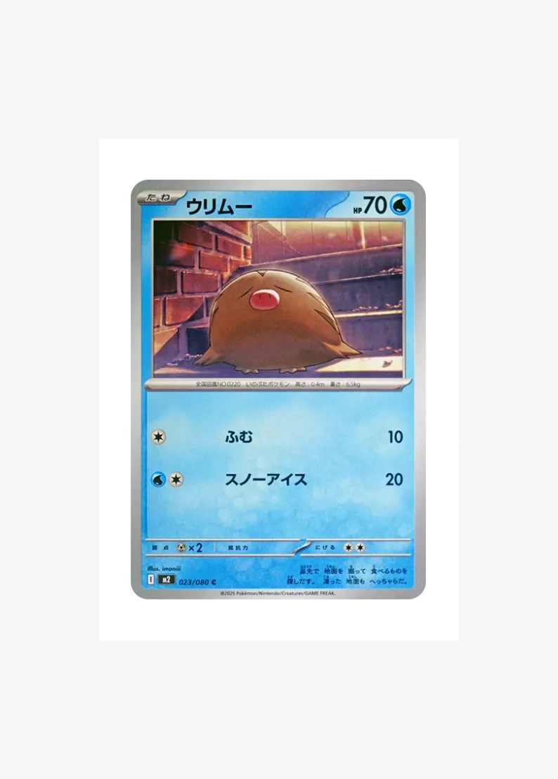 Swinub C