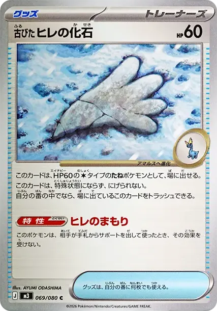 Ancient Fin Fossil C