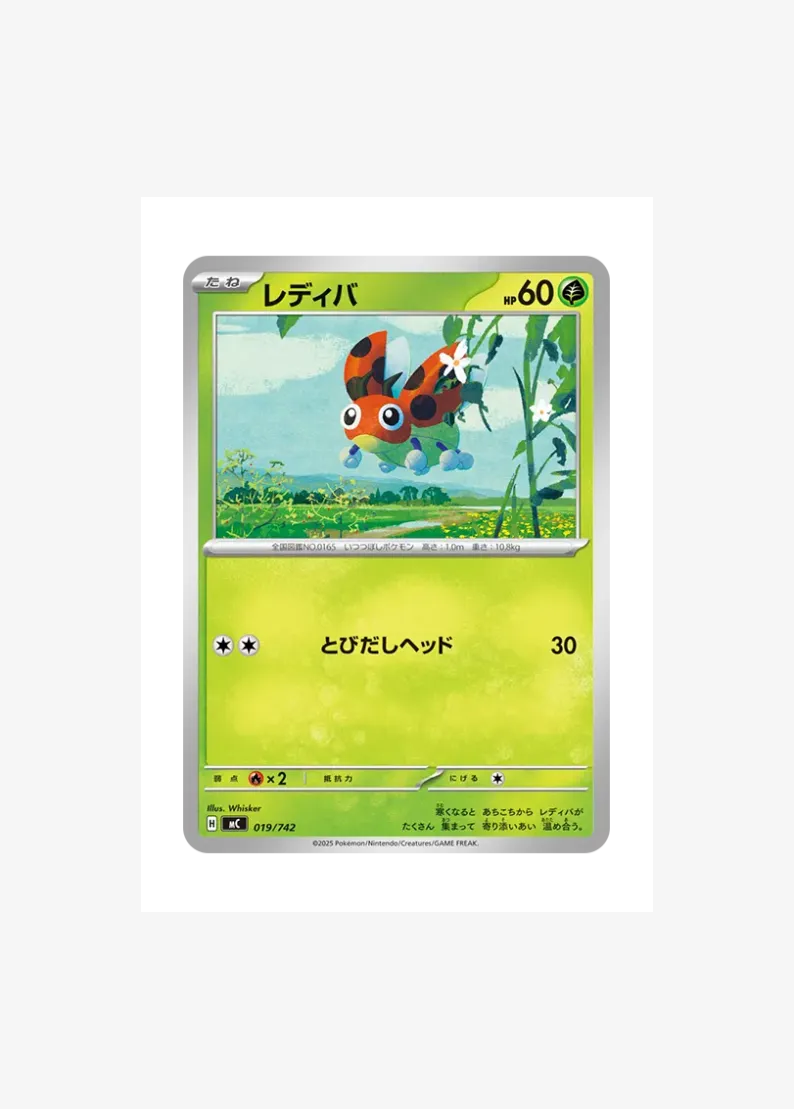 Ledyba
