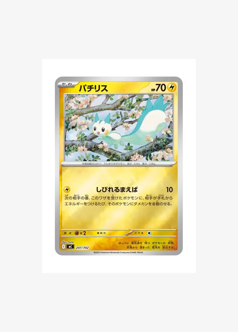 Pachirisu