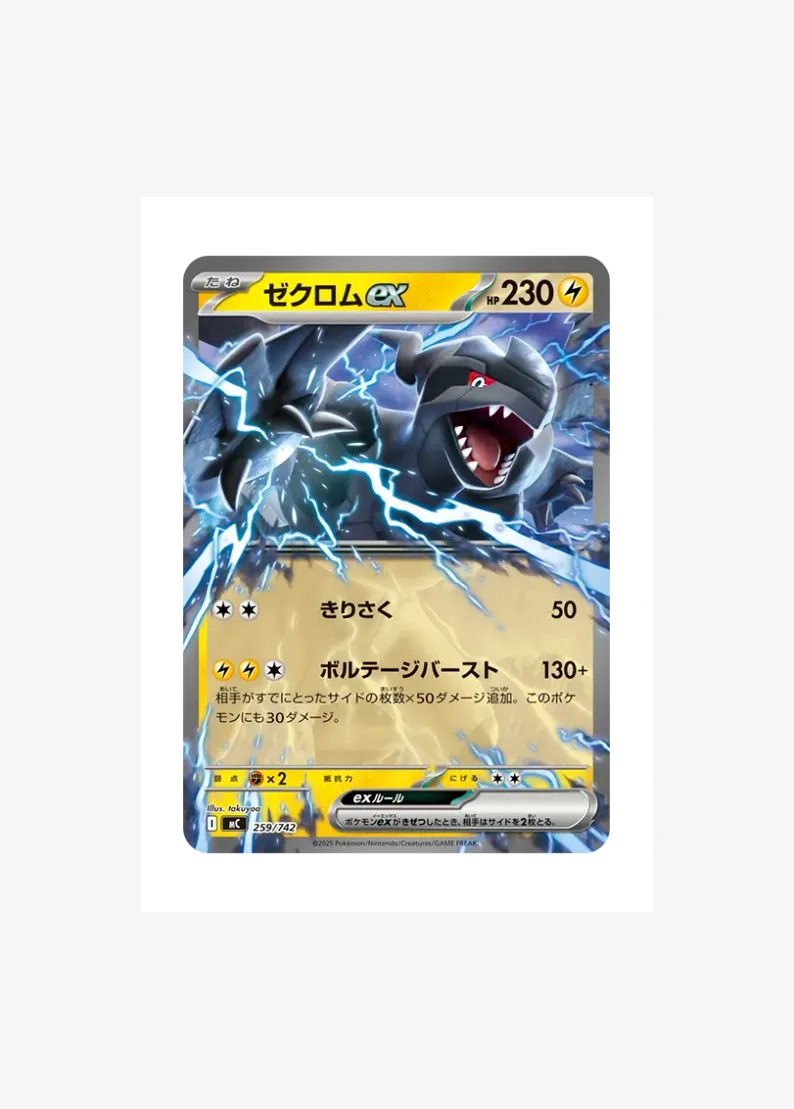 Zekrom ex