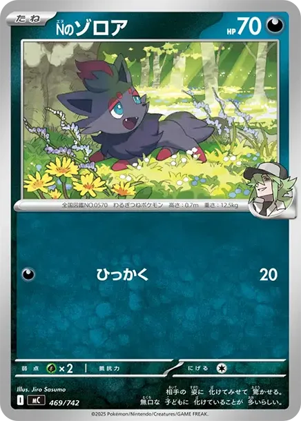 N's Zorua