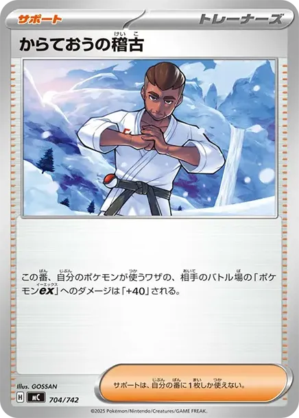 Karate King Training