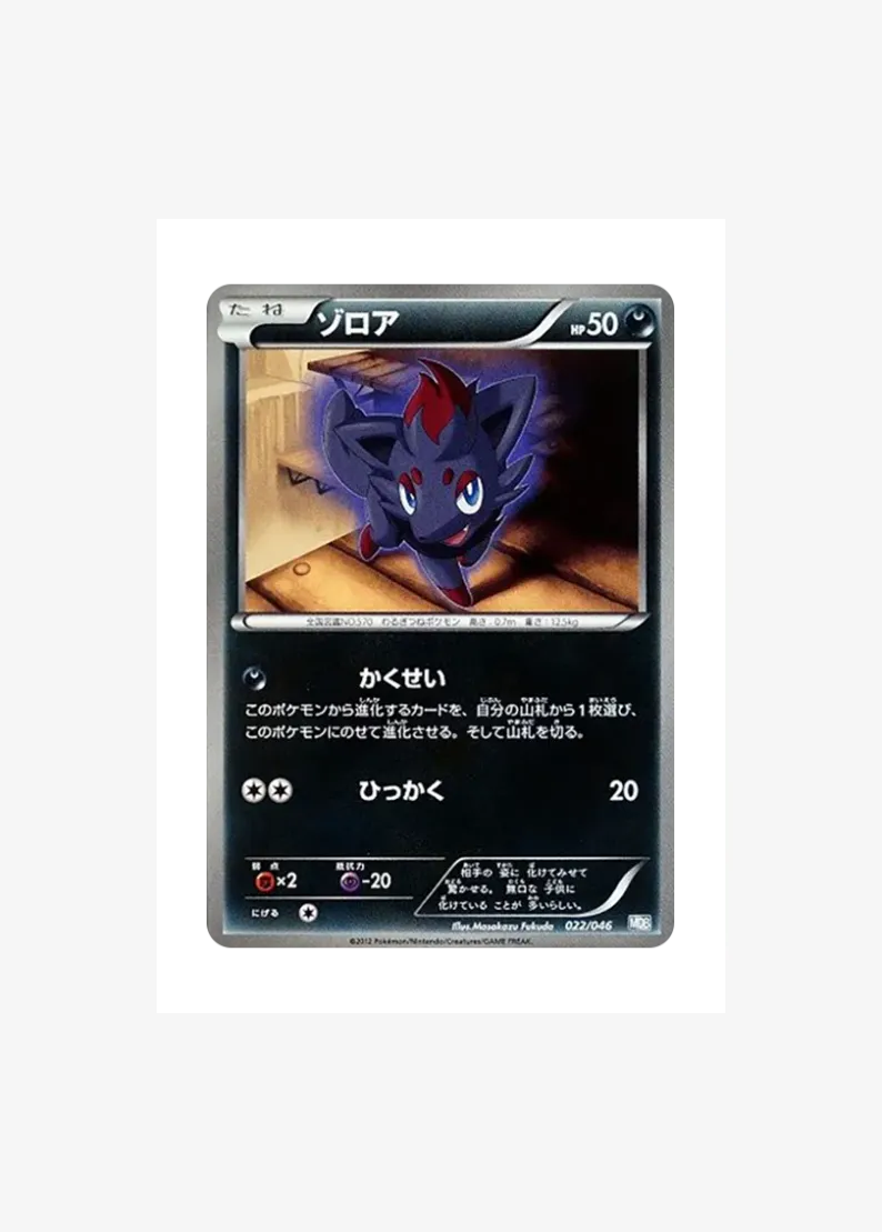 ゾロア