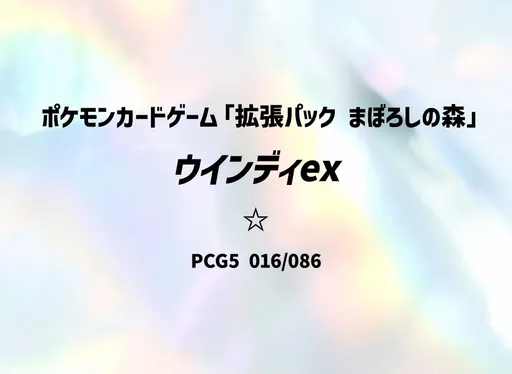 윈디 ex