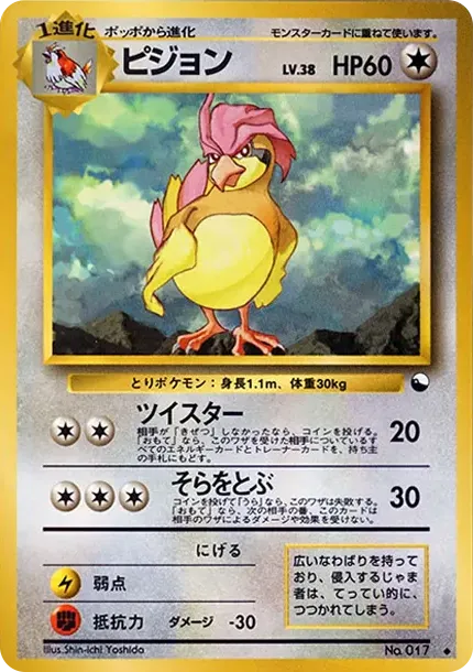 ピジョン ◆