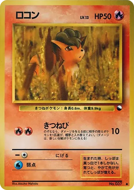 ロコン