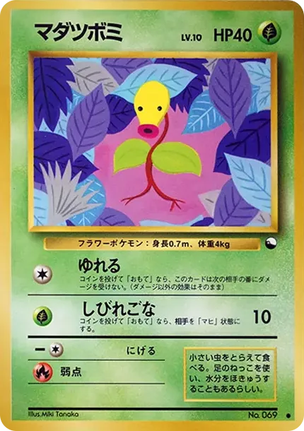 マダツボミ