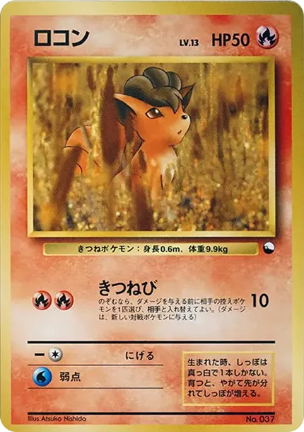 ロコン
