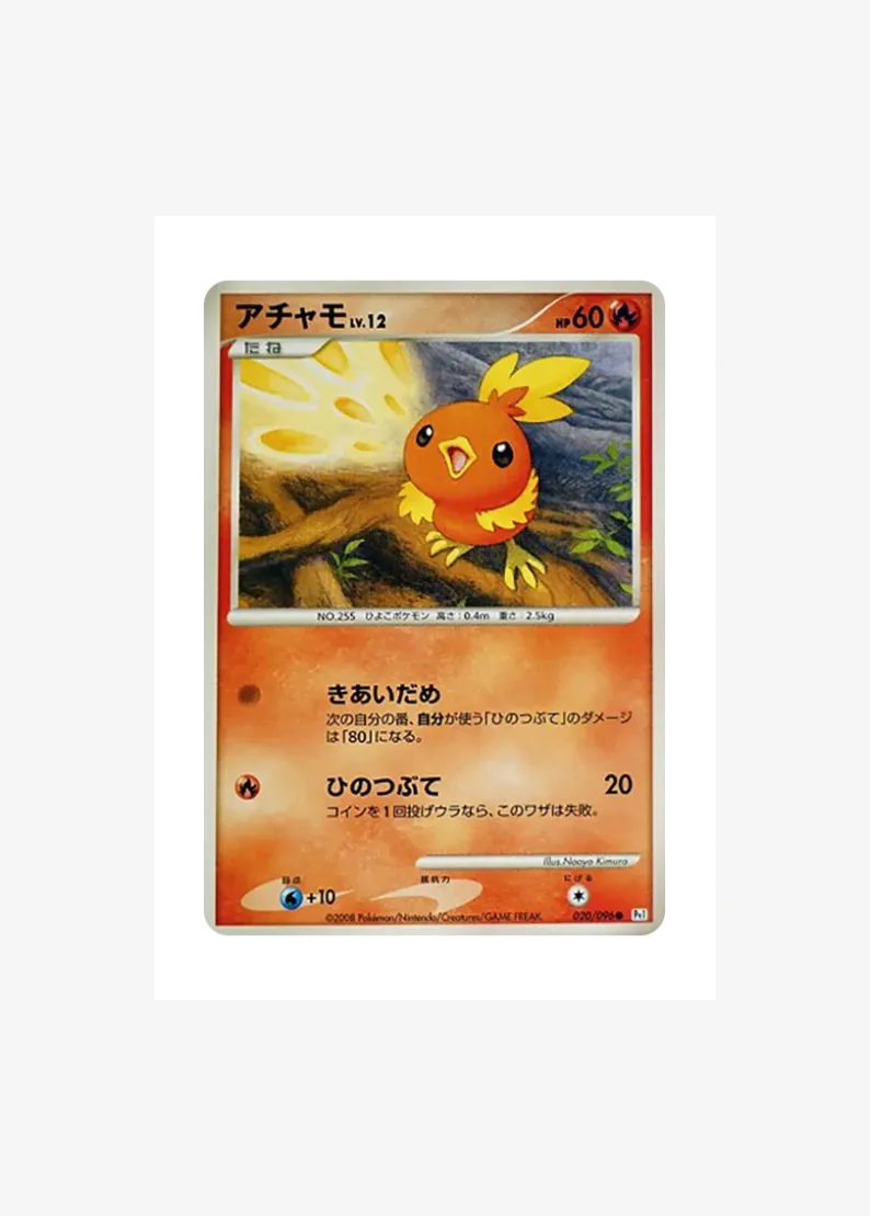 Torchic