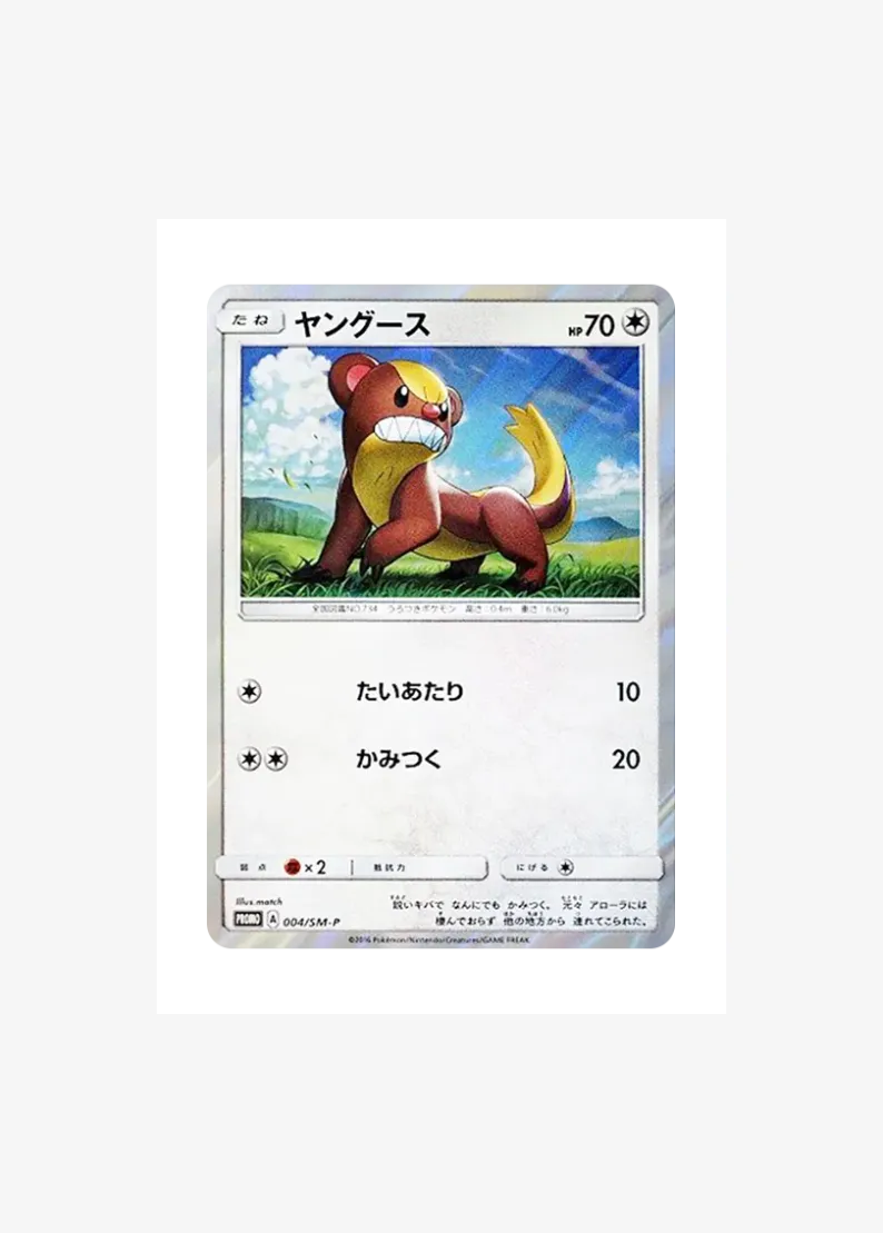 ヤングース P