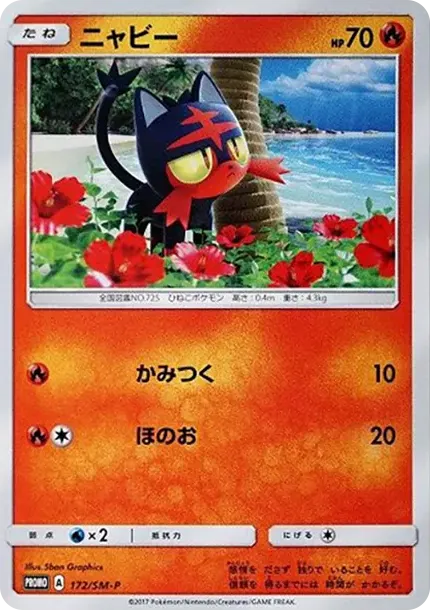 Litten P