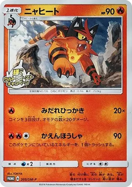 Torracat P