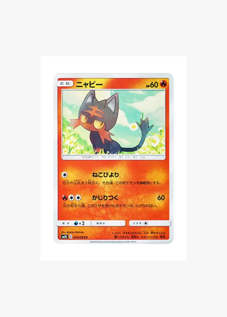 Litten C